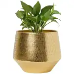 Indoor Planters